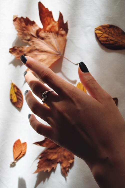Fall nails